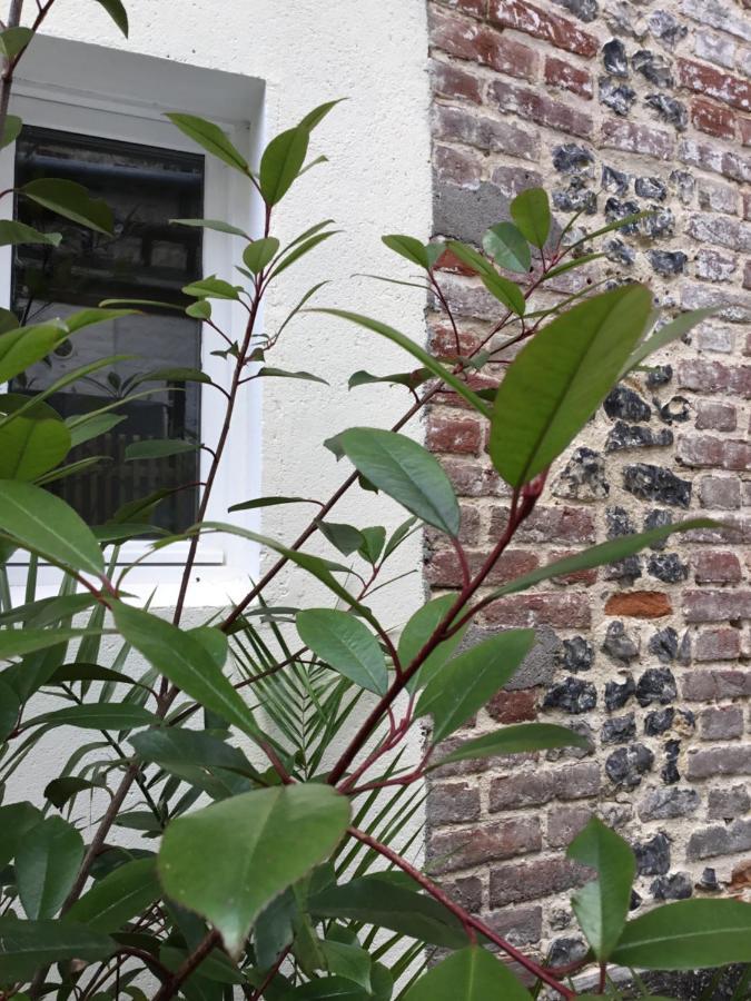 Le Hwell Villa แซ็งต์-วาเลรี-ซัวร์-ซอมม์ ภายนอก รูปภาพ